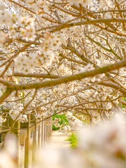 AAE1E868-320E-456B-990A-2EB5C8914ED1/L0/001