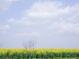 EEF57CB7-30CA-4F2D-8E68-37E78850582A/L0/001