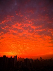 60DA3733-2A0F-4F35-9C8E-5BF451577F71/L0/001