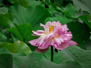 D88523C2-3FF5-4553-9F93-C88F65980AEB/L0/001