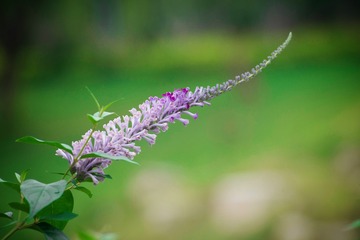A70AA3E1-34CB-4243-9C53-289E865979A5/L0/001