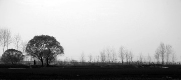 无题系列