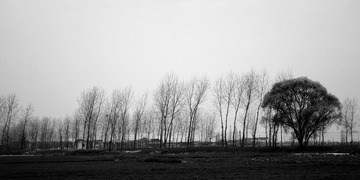 无题系列