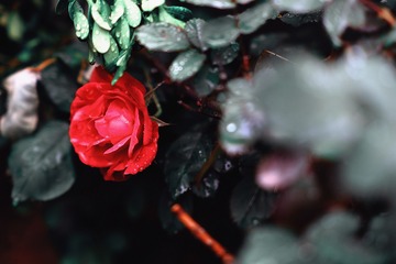 7D0E0D94-CCE4-4D78-A6B6-E142E661BF03/L0/001
