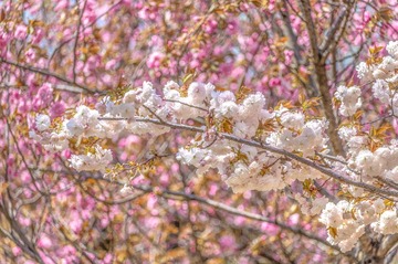 F52D7109-04F5-4C67-A018-CDFDD9A2E927/L0/001