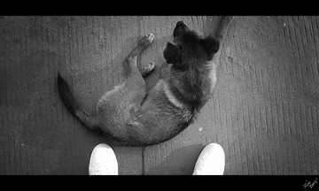 IMG_20130519_0719291.jpg