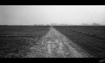 IMG_20130303_154027.jpg