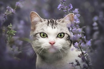 101518