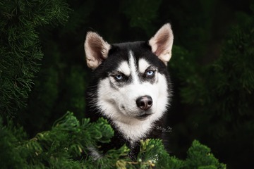 101058