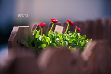 IMG_6848-lr4.jpg