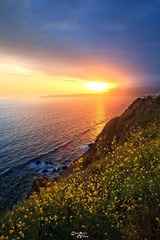 IMG_2048s.jpg