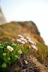 IMG_1797s.jpg