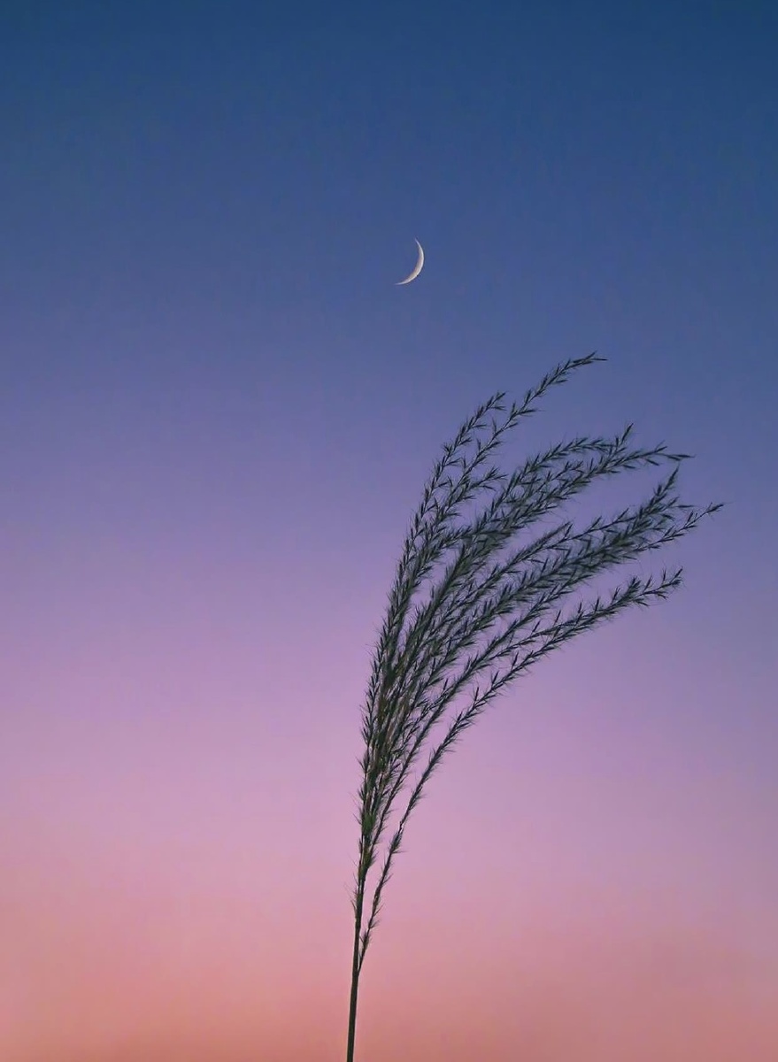 精美图片分享2020年12月9日1258关注卖图晒单分享今日天空绝了您的