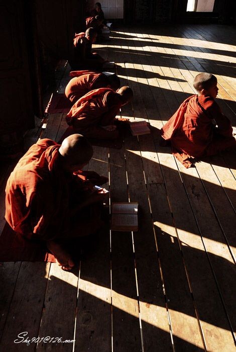 晨读-（六枝佛学校）<br />
2008年1月拍摄于缅甸六枝