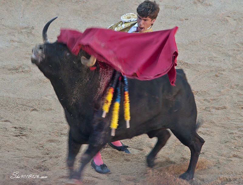 西班牙式斗牛-较量<br />
2006年7月拍摄于西班牙潘普洛纳