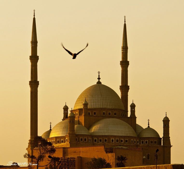 SHB_7577aaaa<br />

