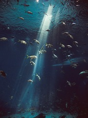 001