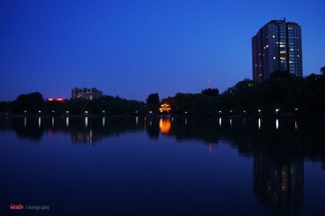 IMGP1208.jpg