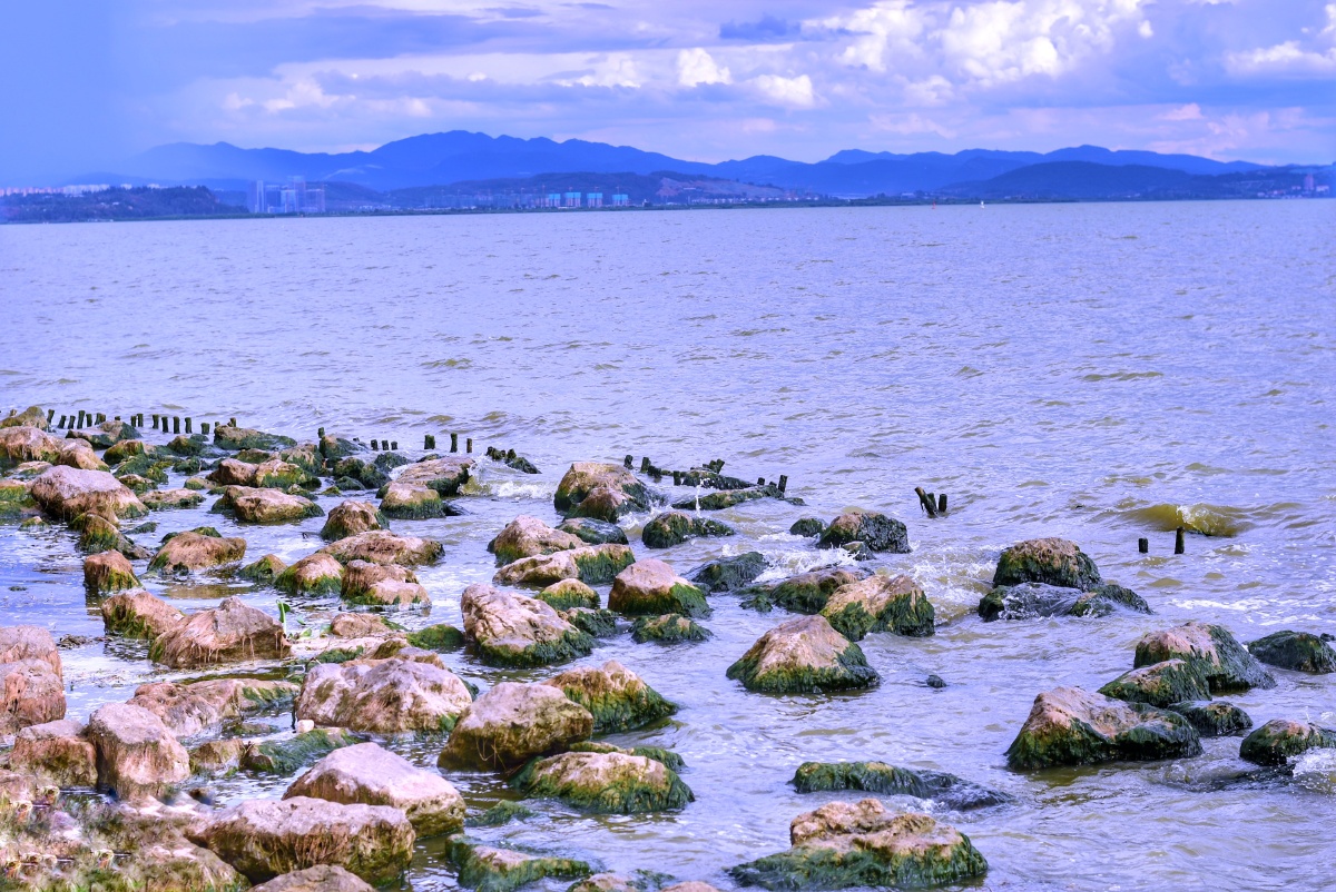 昆明斗南湿地公园偷得浮生半日闲