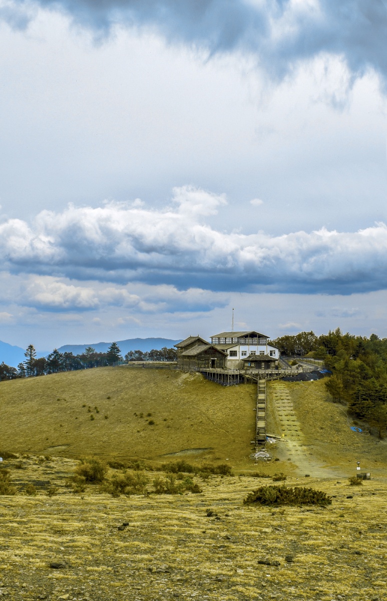 玉龙雪山牦牛坪