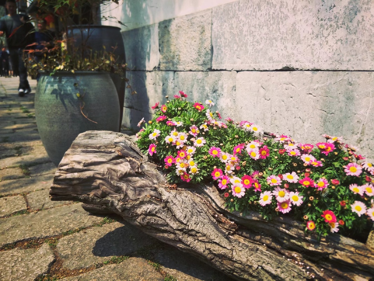 角落里独一无二的风景