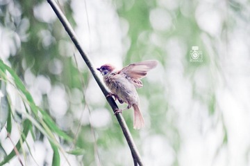 我叫手抖抖