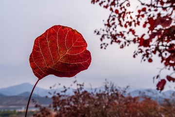 9C833E04-AE19-4975-84E3-A47DDD8B5A53/L0/001