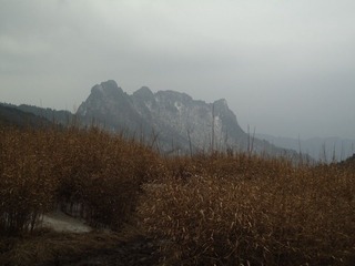 山脊像驼