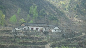 农家