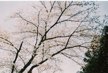 000004