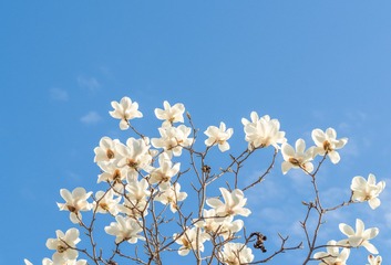 120320