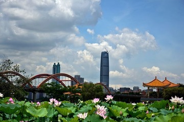 洪湖公园远眺彩虹桥和深圳地标