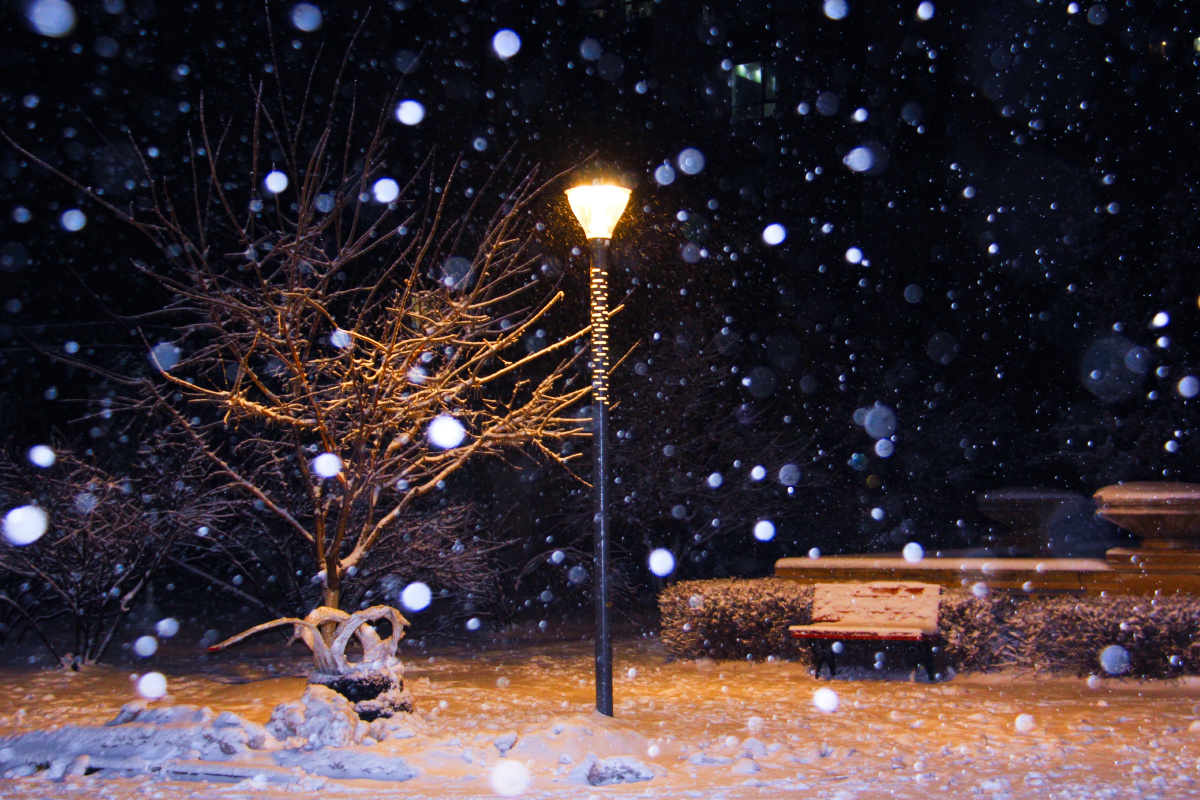 飘雪的夜晚