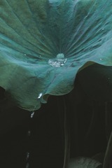 B932580C-127E-4D24-8F78-2D6B6C142B12/L0/001
