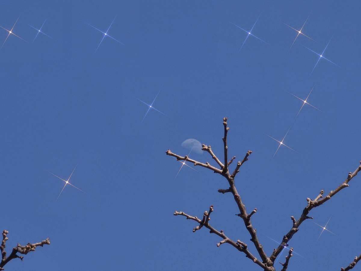 山橘月瞄准月亮即使迷失也是星河之间