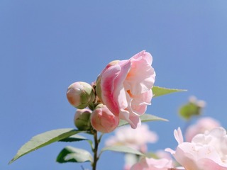 AB43BFD6-13F9-48EE-9680-497481D42BEE/L0/001