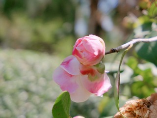 F00C6E65-0531-4584-B9C0-243DE3A4F528/L0/001
