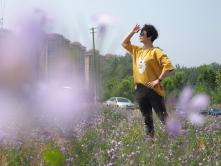 190619