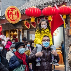 明孝陵的枫叶