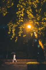 786481
