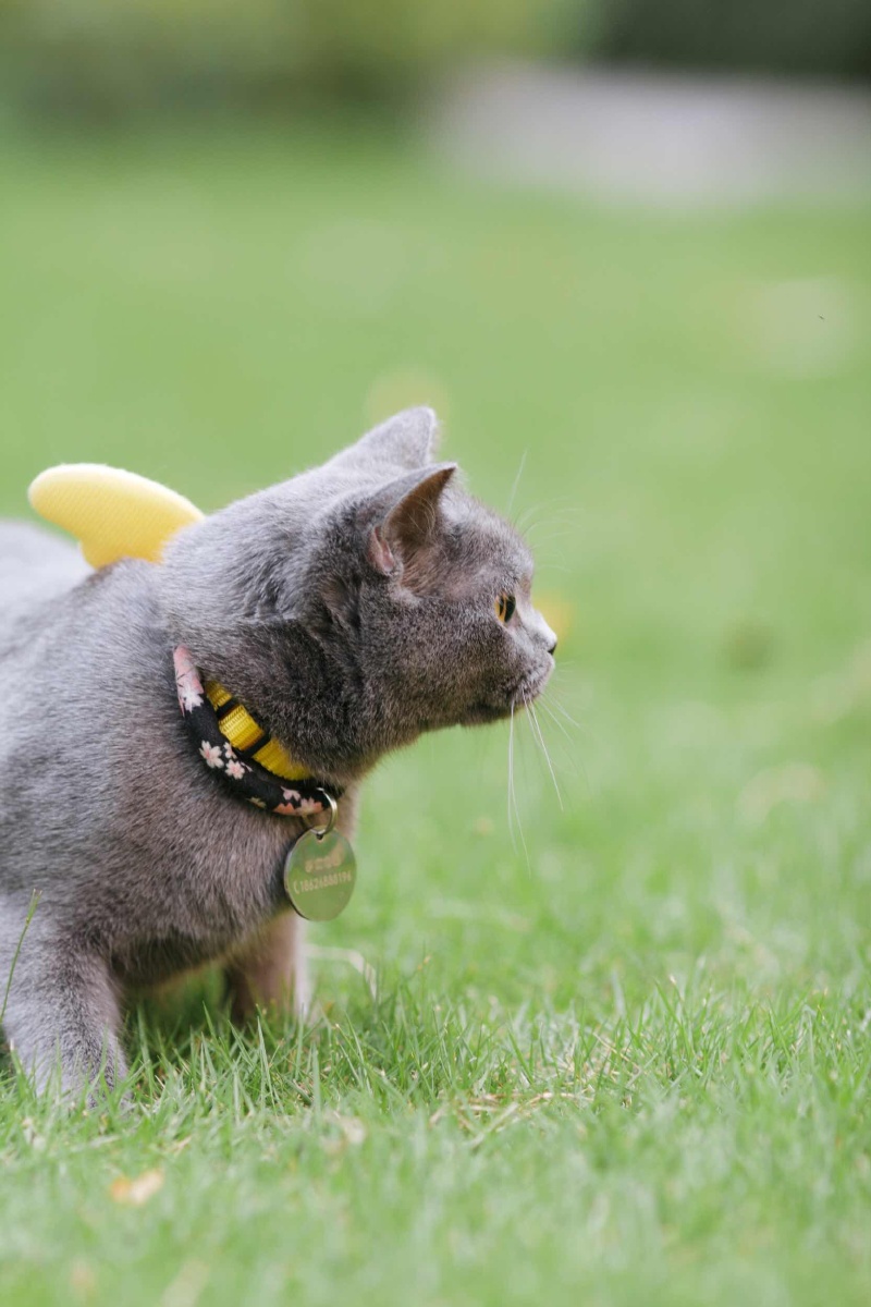 800_1200竖版 竖屏