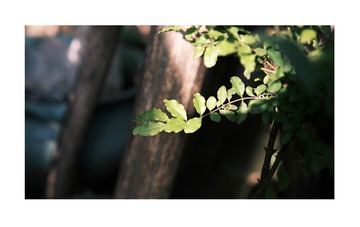 2E9A08B9-B7FC-495E-98D6-F6DBAE10B9DF/L0/001