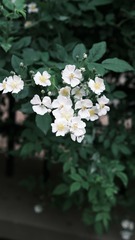 D21C2129-A969-4E58-A606-4D77982F1815/L0/001