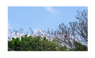 AA4A0DAB-B353-42F8-A717-867FD226E231/L0/001