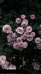15642840-BCC6-4BCF-A287-31A58FE32584/L0/001