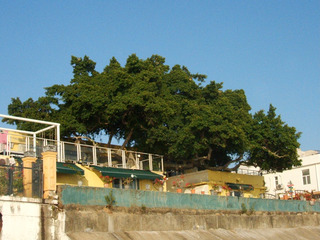 AB9C50D5-0F30-40E3-AFE3-8793D234B269/L0/001