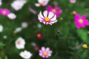 3F3DF5F6-8A94-4E5C-92CE-2D9DB8E10005/L0/001