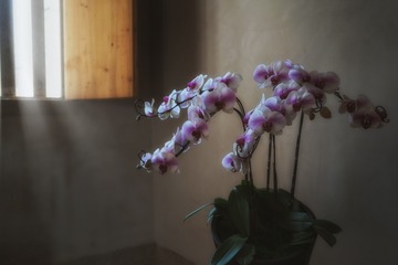 D411F6AE-25EA-41F5-B813-E9C5335EB2D2/L0/001