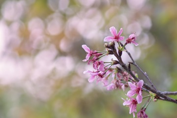18704EF5-42F4-493B-AA59-A25183A99C87/L0/001