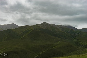 A7_01253